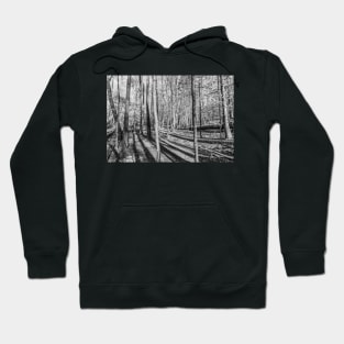 Into the Forest (BW) Hoodie